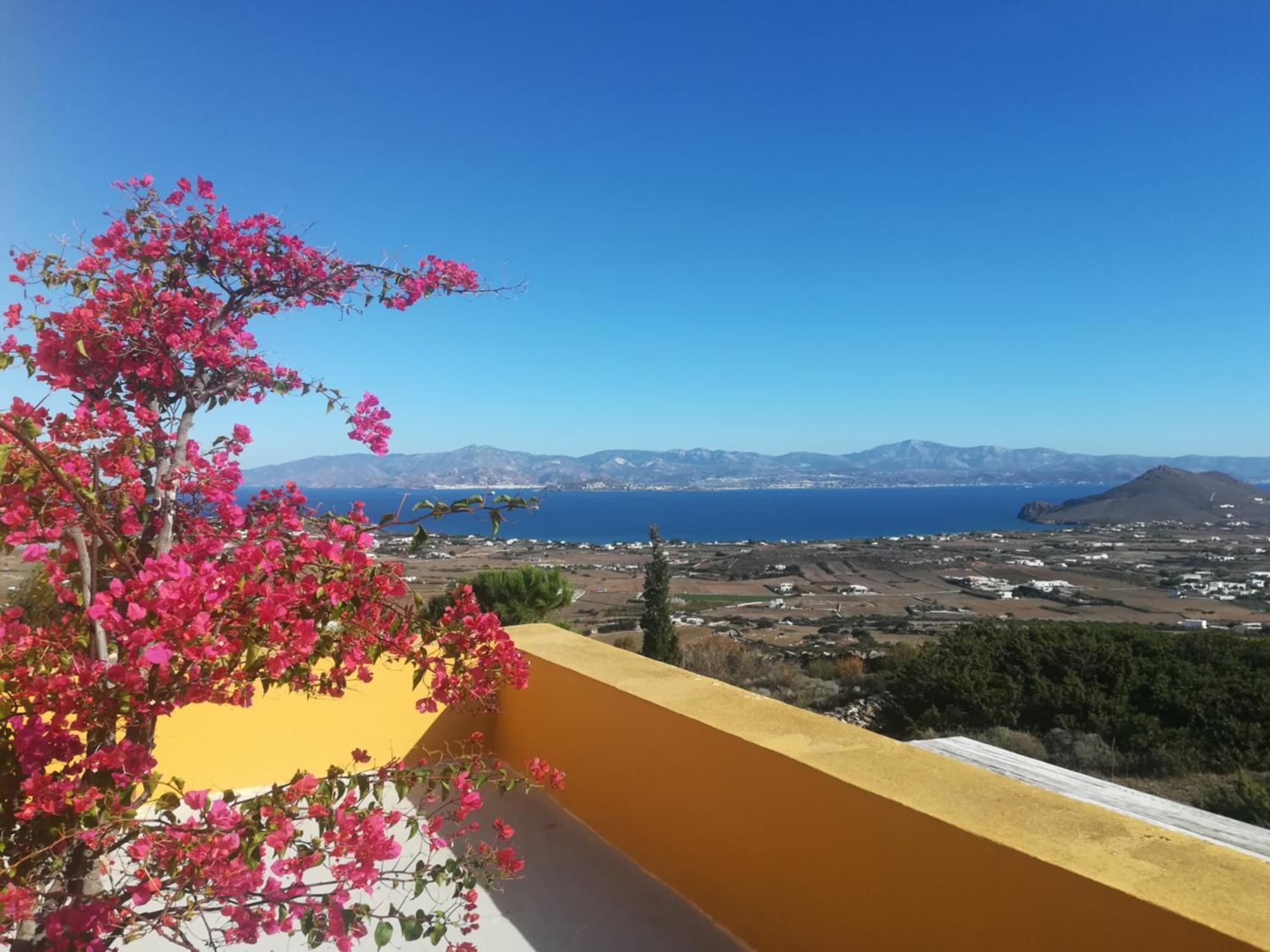 Bralos Villa - Paros, Sea View Kostos Exterior photo